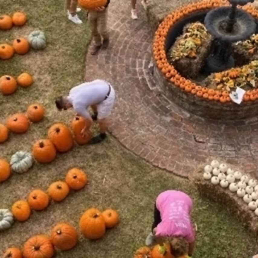 GOALS-square Click to download the Pumpkin Patch Pre-Order Form!