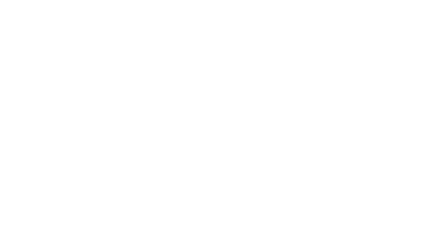 Bergeron & Plauche